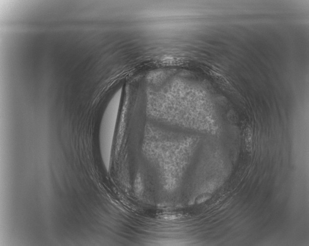 X0000055970746200509162158