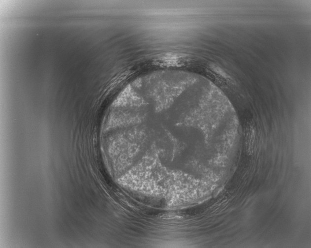 X0000055970747200509162158