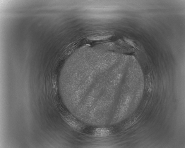 X0000055970749200509162158