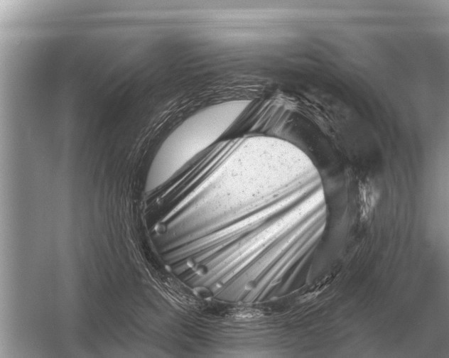 X0000055970750200509162158