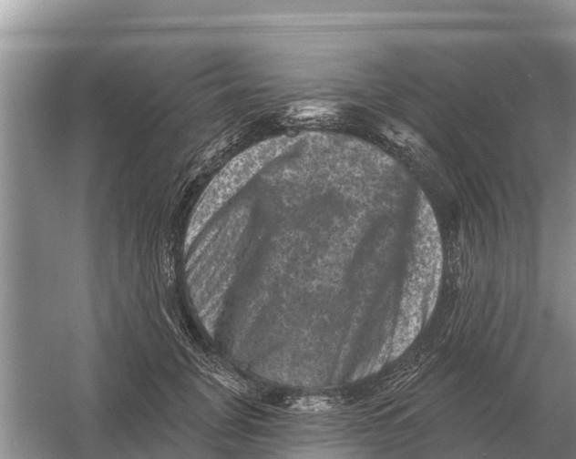 X0000055970751200509162158