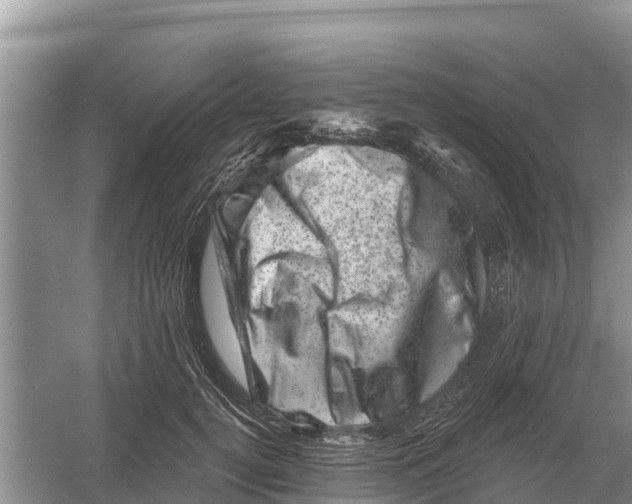 X0000055970752200509162158