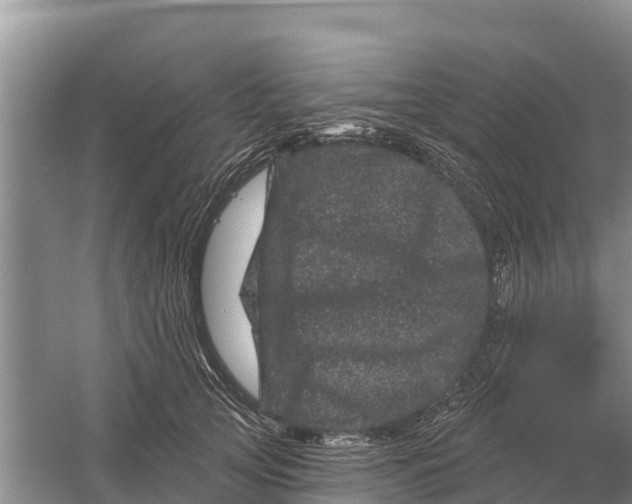 X0000055970753200509162158