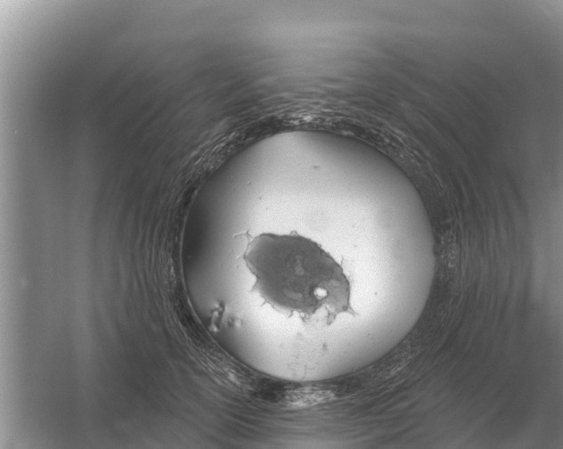 X0000055970754200509162158