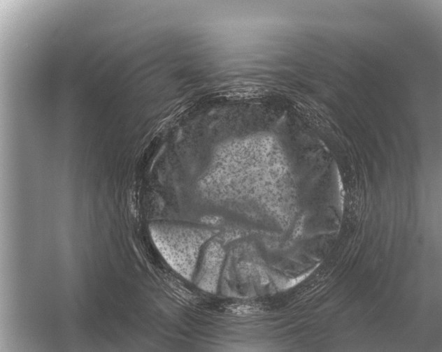 X0000055970755200509162158