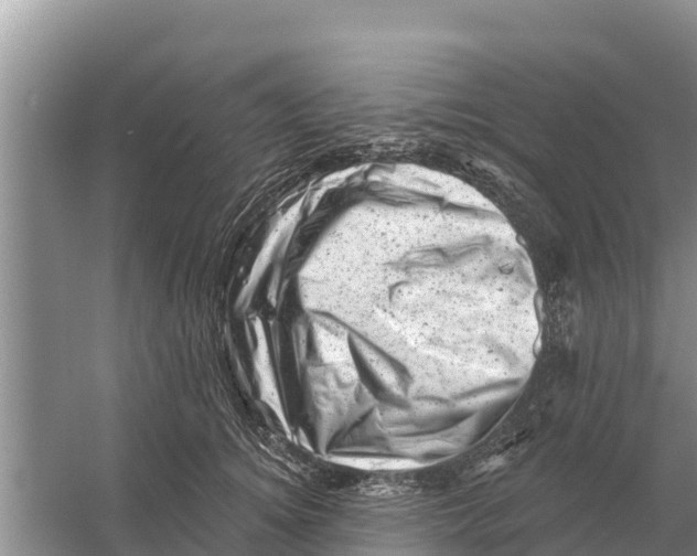 X0000055970756200509162158