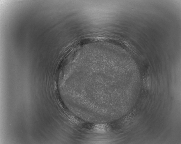 X0000055970757200509162158