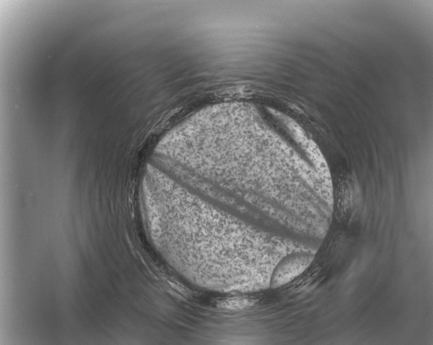 X0000055970759200509162158