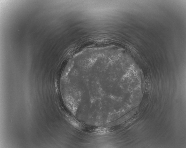 X0000055970762200509162158