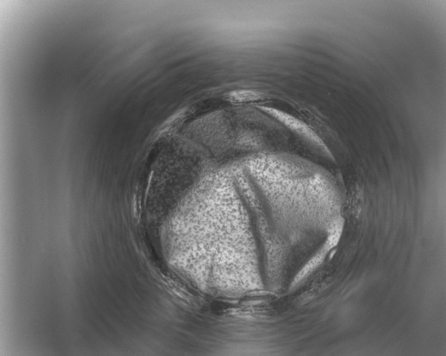 X0000055970763200509162158