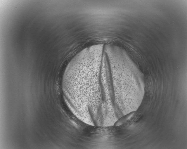 X0000055970764200509162158