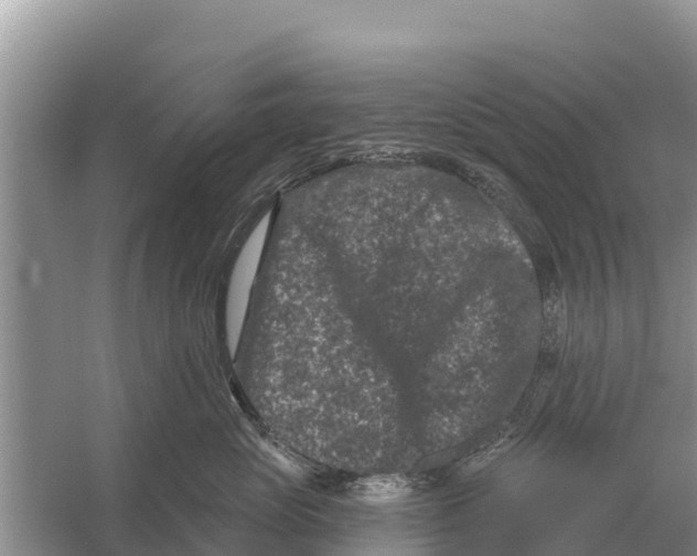 X0000055970765200509162158