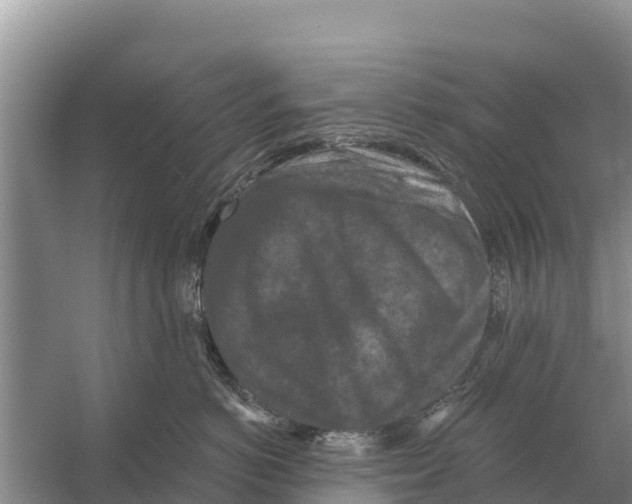 X0000055970766200509162158