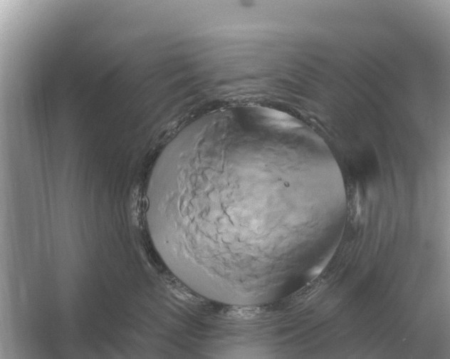 X0000055970767200509162158