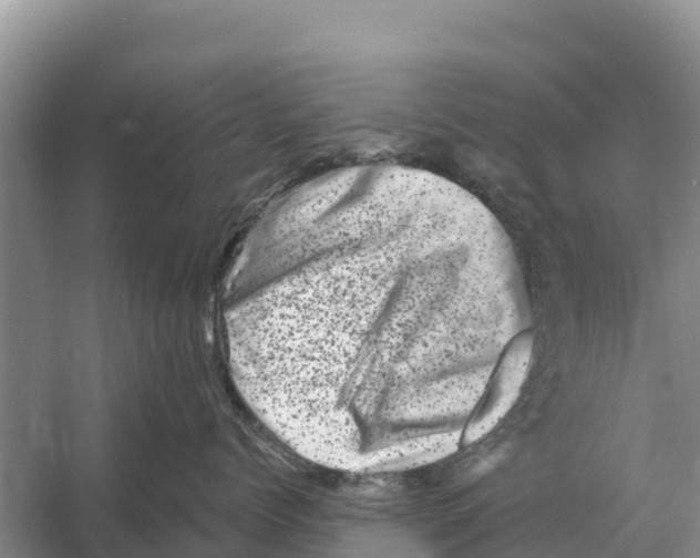 X0000055970768200509162158