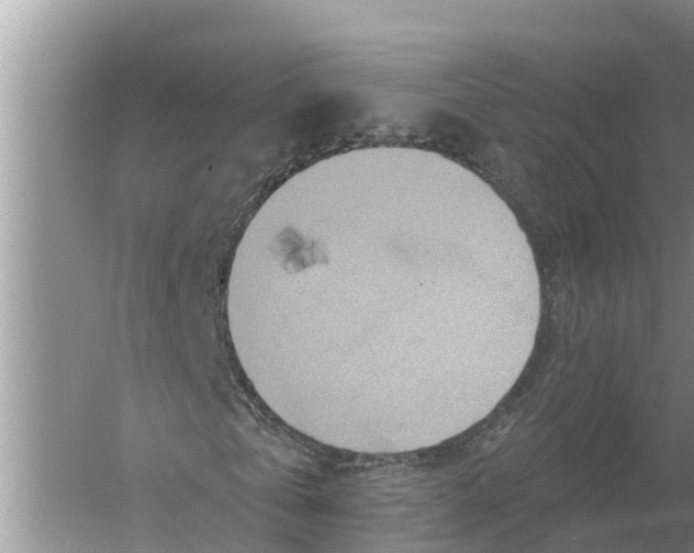 X0000055970769200509162157