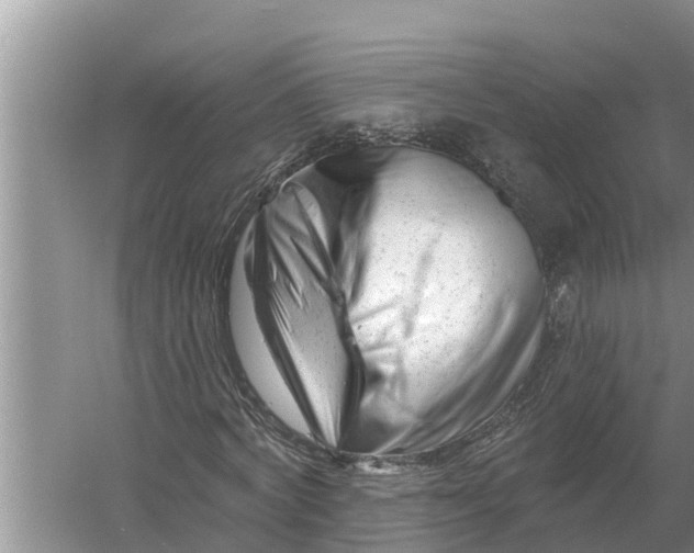 X0000055970772200509162157