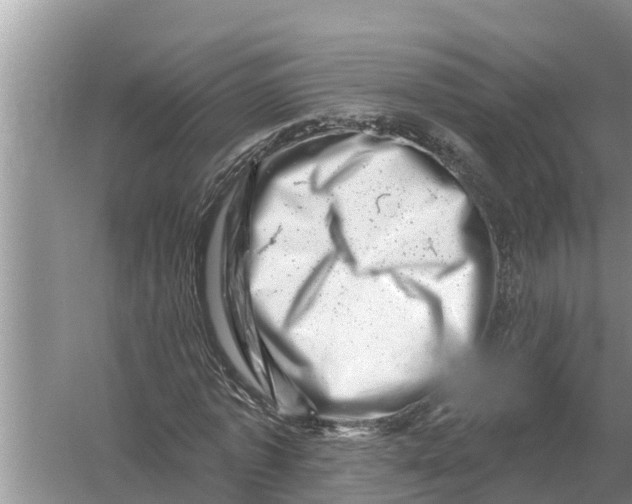 X0000055970773200509162157