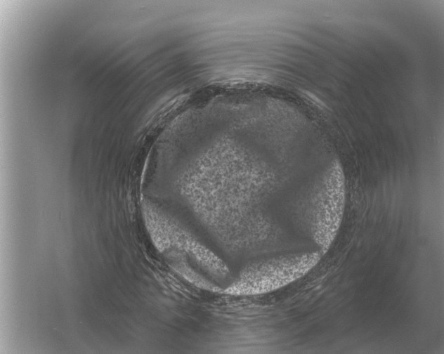 X0000055970774200509162157