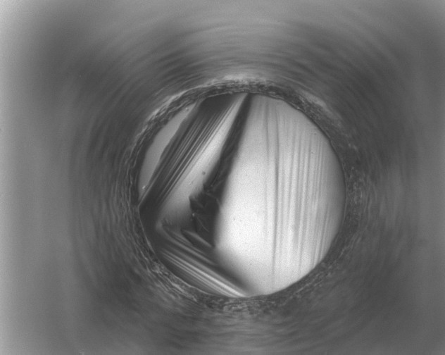 X0000055970776200509162157