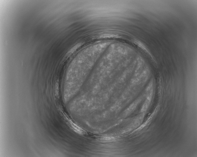 X0000055970777200509162157