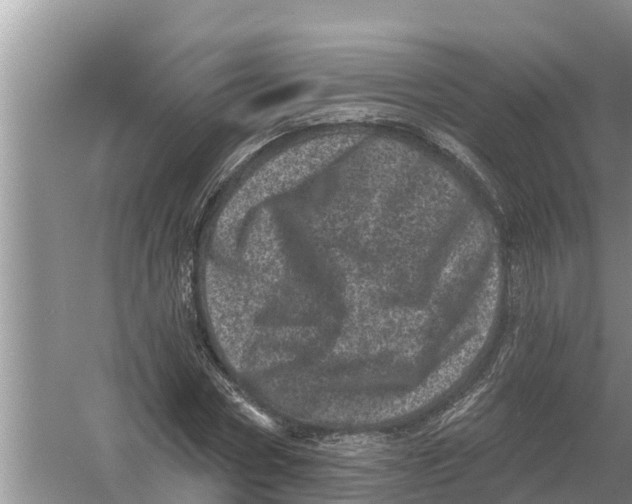 X0000055970778200509162157