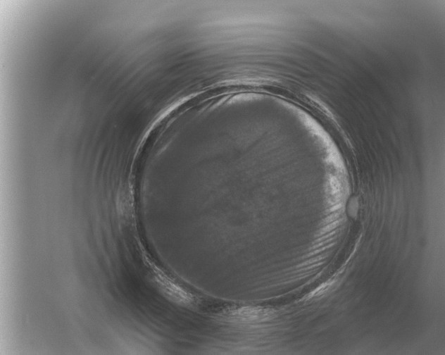 X0000055970779200509162157