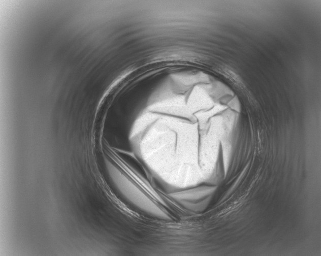 X0000055970780200509162157