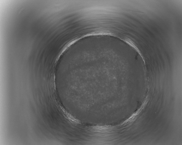 X0000055970781200509162157