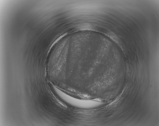 X0000055970782200509162157