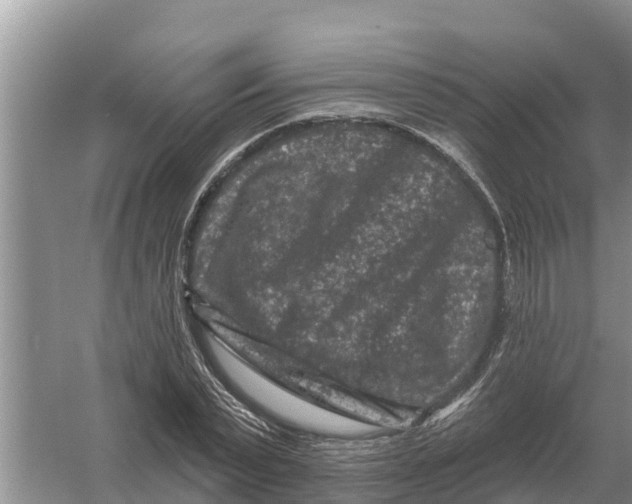 X0000055970783200509162157