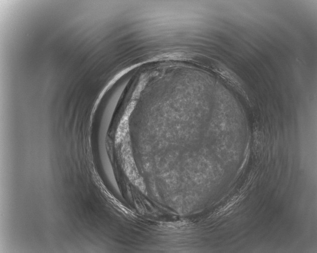 X0000055970784200509162157