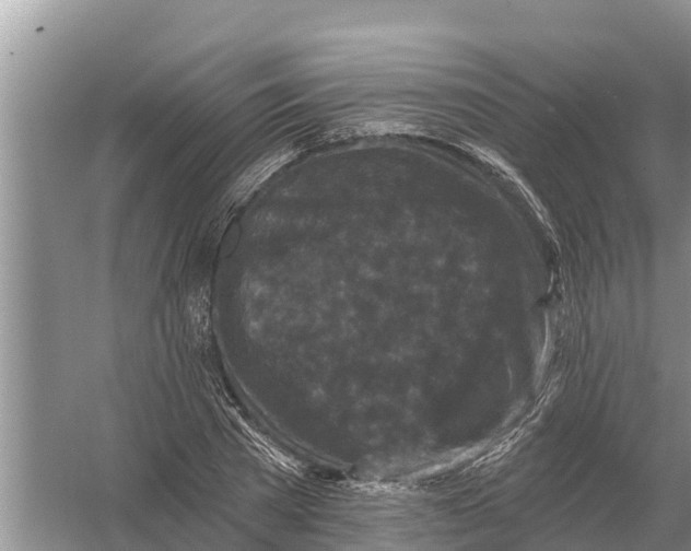 X0000055970785200509162157