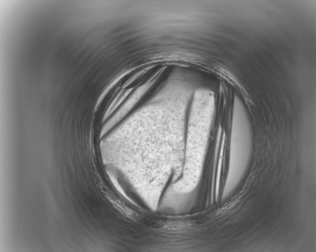 X0000055970788200509162157