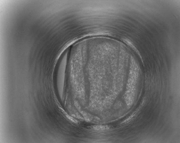 X0000055970789200509162157