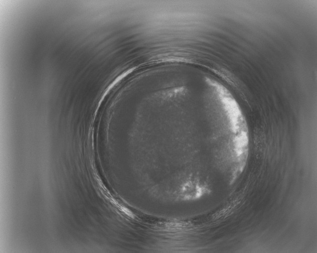 X0000055970790200509162157