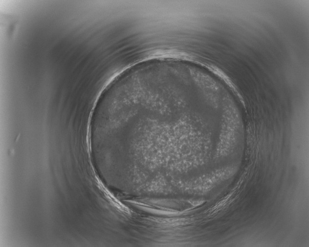 X0000055970791200509162157