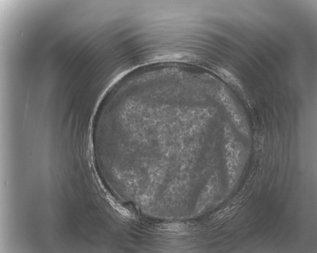 X0000055970792200509162157