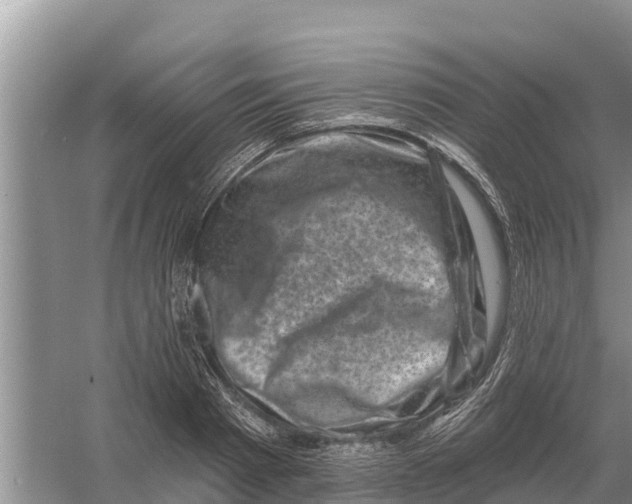 X0000055970793200509162157