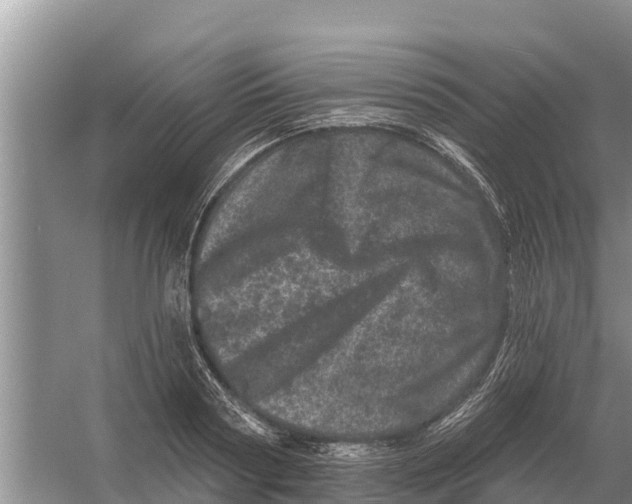 X0000055970794200509162157