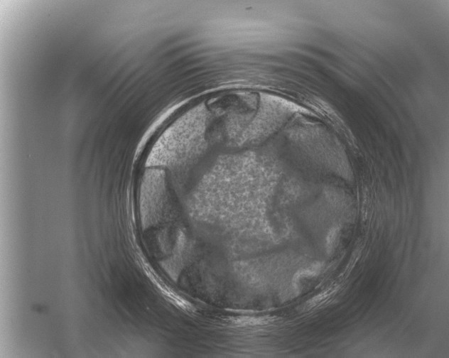 X0000055970796200509162157