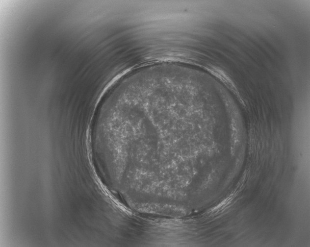 X0000055970798200509162157