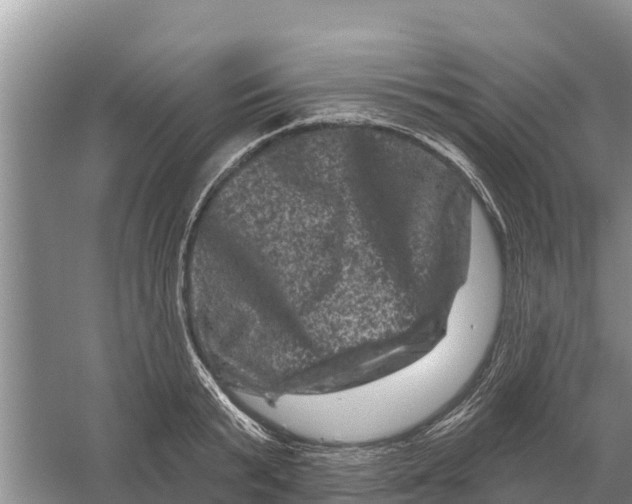 X0000055970799200509162157