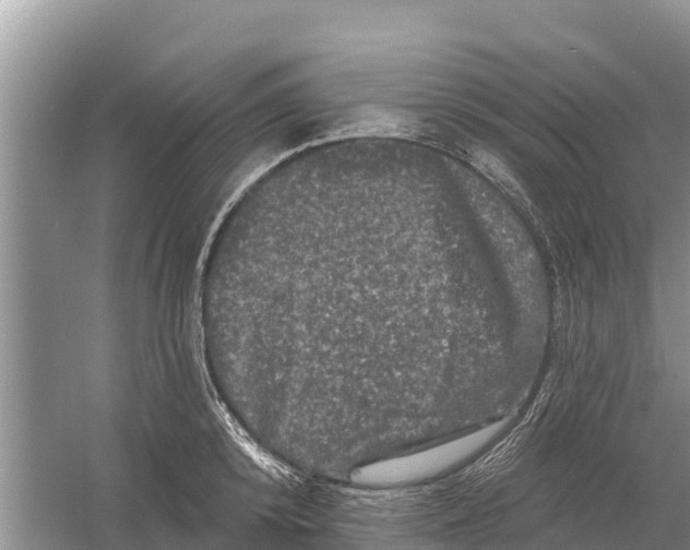 X0000055970800200509162157