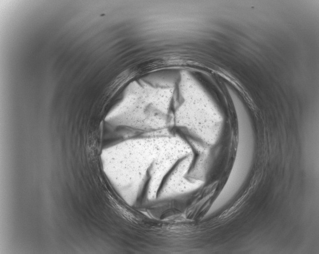 X0000055970801200509162157