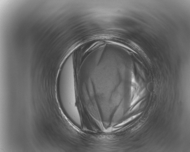 X0000055970802200509162157