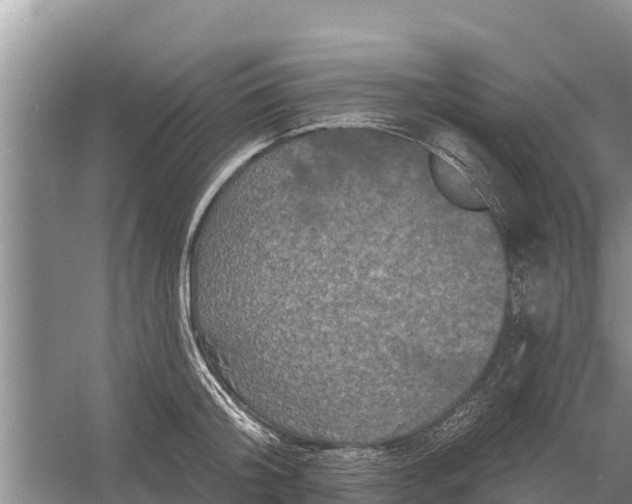 X0000055970804200509162157