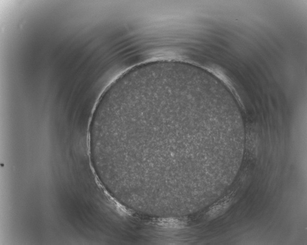 X0000055970807200509162157