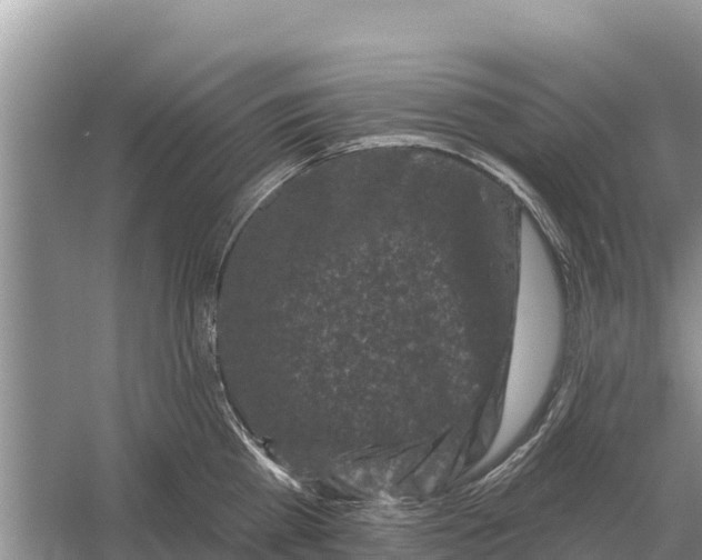 X0000055970809200509162157