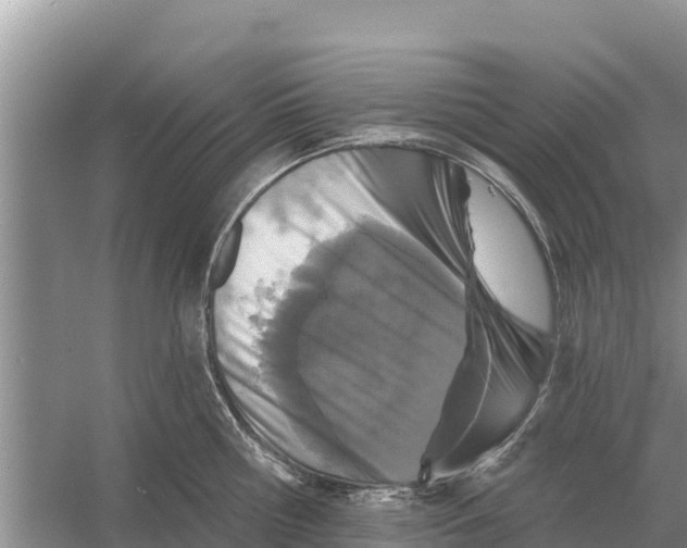 X0000055970810200509162157